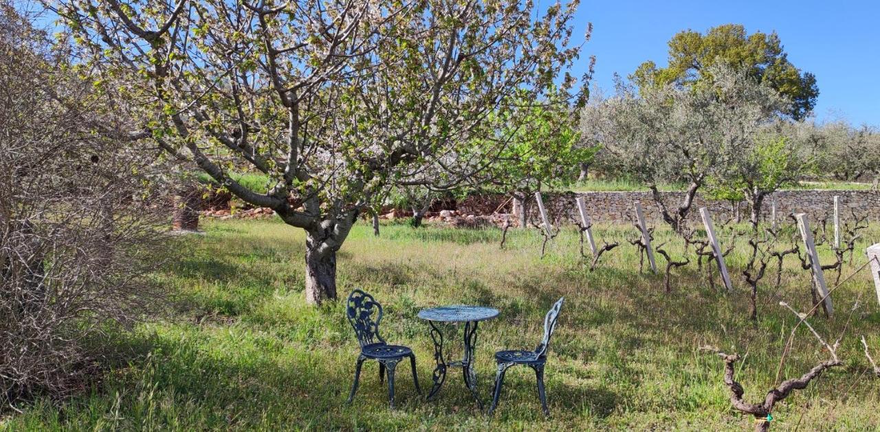 Il Vigneto Sole&Luna Con Piscina Privata Martina Franca Zewnętrze zdjęcie