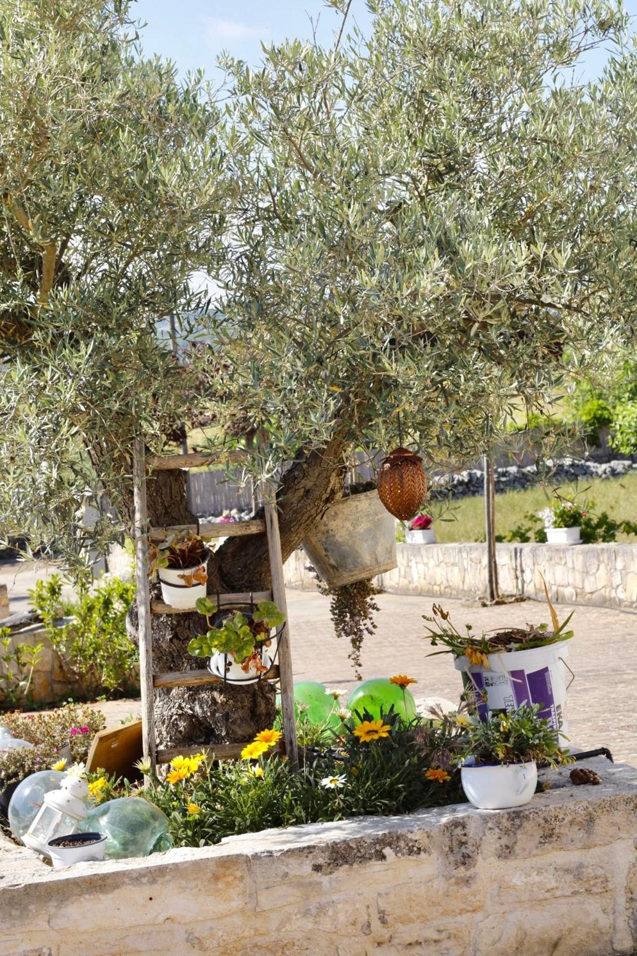 Il Vigneto Sole&Luna Con Piscina Privata Martina Franca Zewnętrze zdjęcie